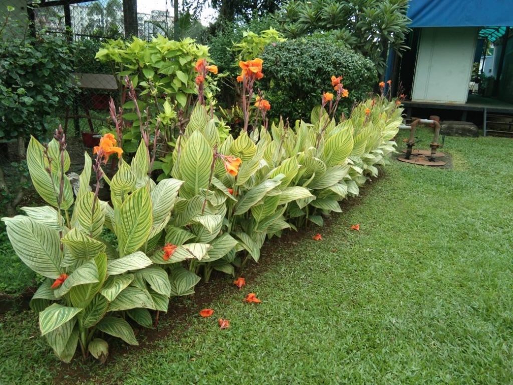 RAHEJA GARDENS Shivneri Garden