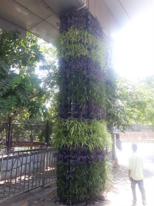 Vertical Wall Gardens Shivneri Garden 