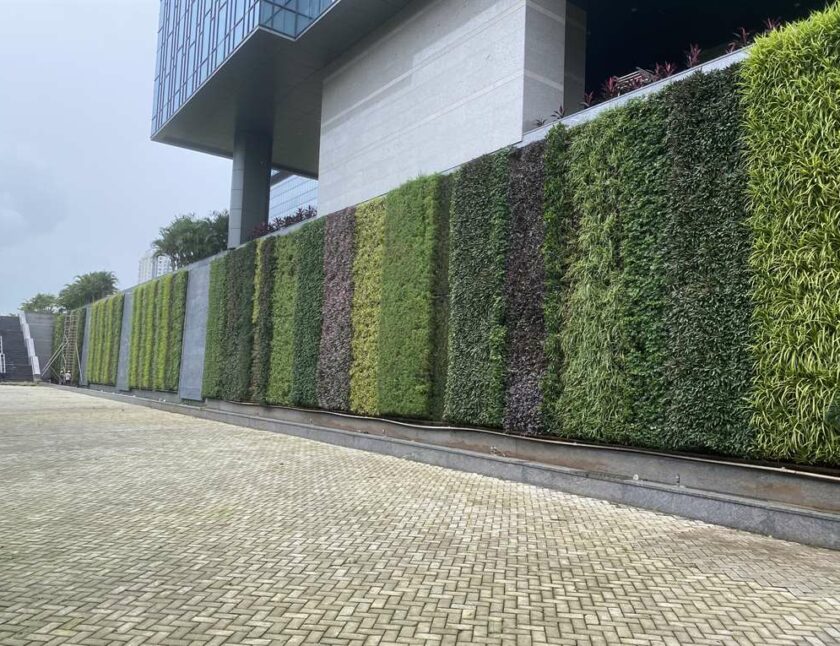 Vertical Wall Gardens Shivneri Garden 